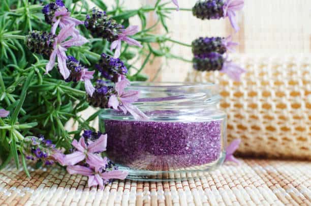 Spanish Lavender Growing Guide: Cultivation, Care, and Harvesting Tips