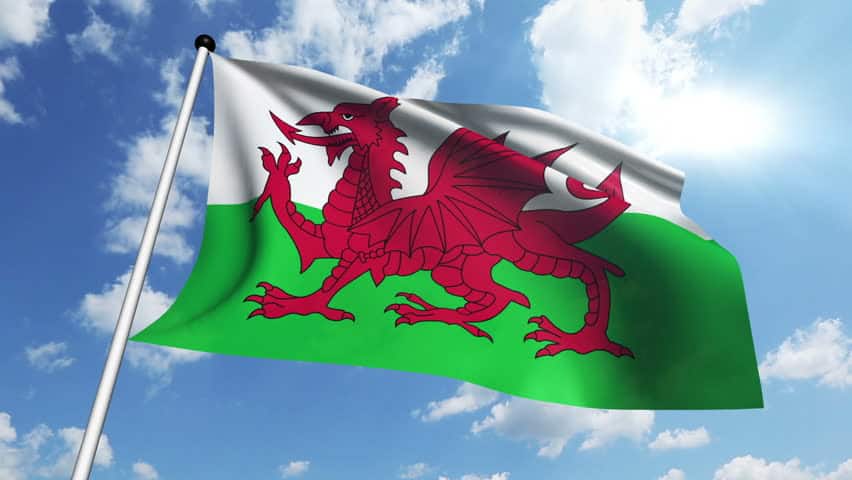 Discover the rich history and meaning of the Welsh flag in "Unveiling the Beauty: The Welsh Flag Story." This instructive essay discusses its origins, the red dragon, and other topics.
